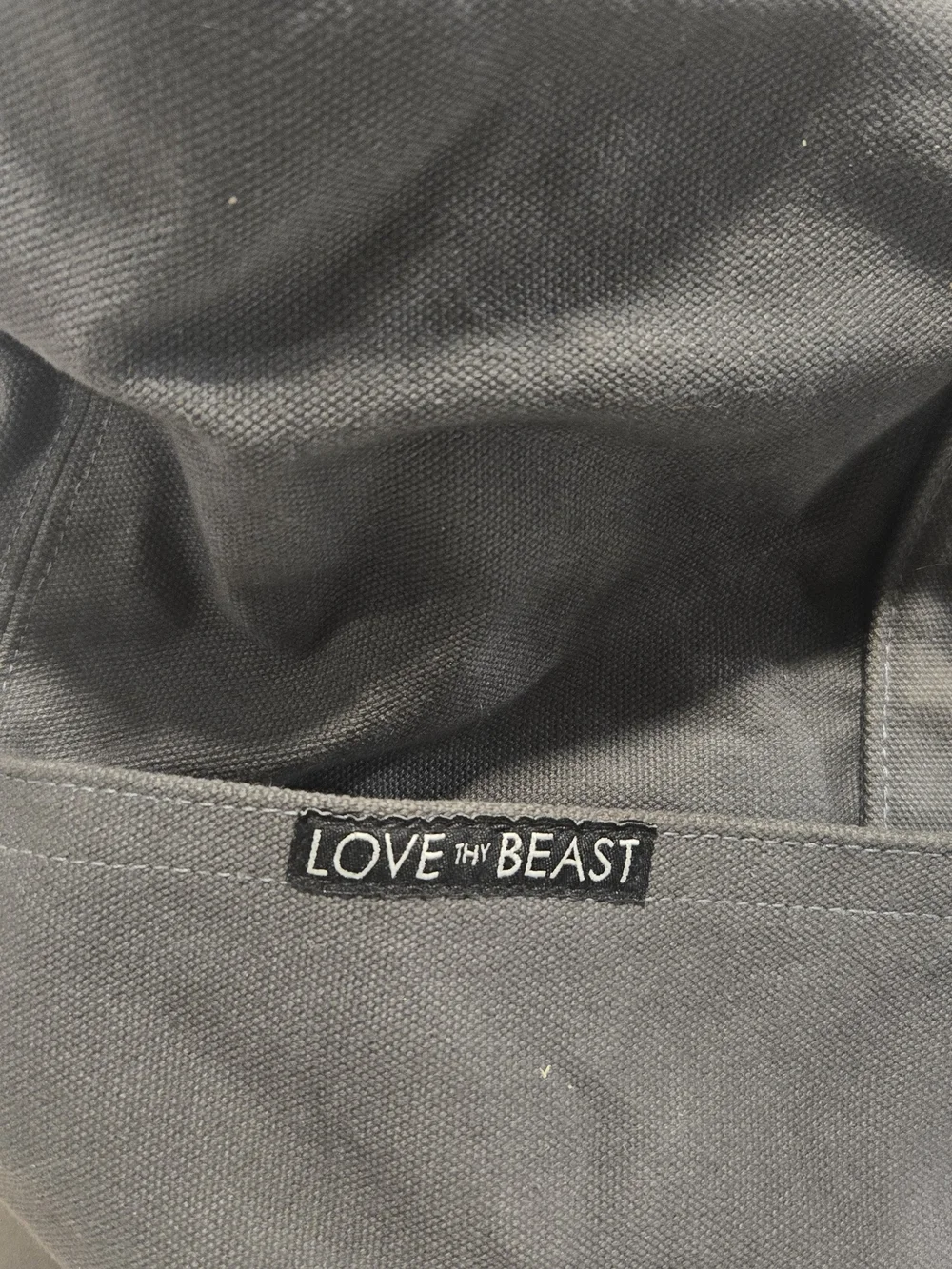 Love Thy Beast Gray Canvas Pet Tote